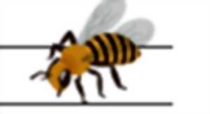 photo Atelier nature 