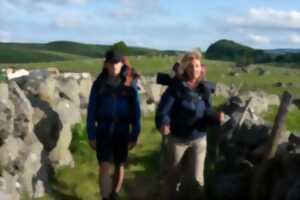 photo Cinéma -Compostelle