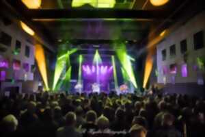 photo Salle de concerts de Wood Stock Guitares