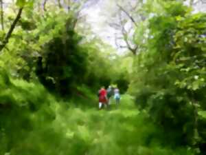 photo Sortie : Les 4 saisons du Kochersberg