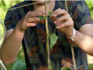 photo Chantier participatif ; Création de tuteurs 100 % naturels en revalorisant nos déchets verts !