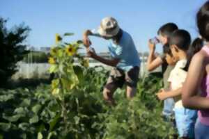 photo Un mercredi à la ferme autour des sols