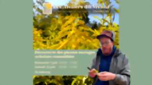 photo Découvrir les plantes sauvages urbaines comestibles