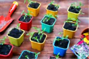 photo Marché solidaire de plants de légumes et fleurs