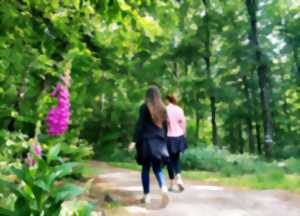 photo Marche du Club Canin