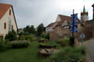 photo Rendez-vous au jardin : jardin médiéval