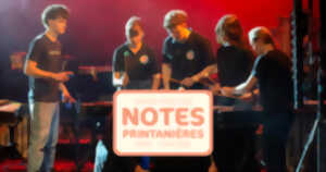 photo Notes printanières : concert de percussions