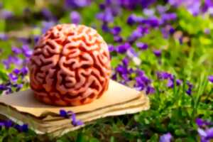 photo Pint of Science - 19 mai - Soirée pour Curieux à Ons-en-Bray