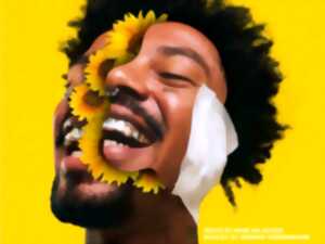 photo Spectacle - Dudley - Tournesol