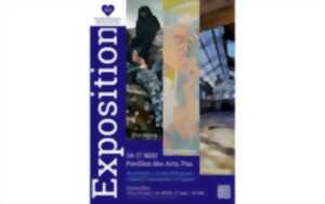 photo Exposition-Salon de Printemps des Amis des Arts de Pau
