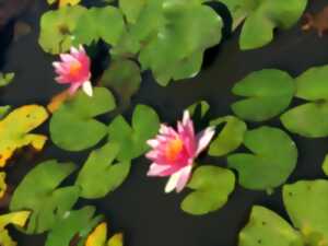 photo Atelier aquarelle