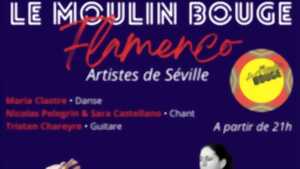 photo Soirée Flamenco