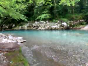 photo Balade botanique et repas 