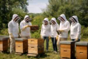 photo Visite à la miellerie Apis Mellona