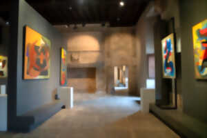 photo Visite Commentée de l'Exposition