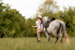 photo Fête du Cheval de Saillat-sur-Vienne