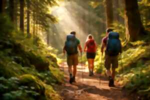 photo Fête à la plaine des Sports