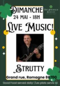 Live Music : Strutty