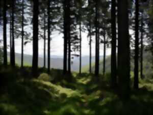 photo ESCAPADES EN MONTAGNE NOIRE - LES MARTYS N°10