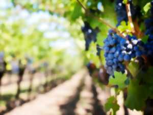 photo Cave ouverte au Bourg de Paille