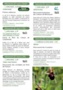 photo Découverte des orchidées du Pech de Pasture