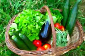 Marché du terroir tous les jeudis