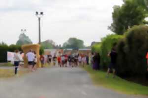 photo Les foulées des Marais - 2e édition