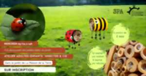 photo A LA DÉCOUVERTE DES INSECTES DU JARDIN