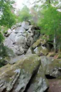 A la découverte de la cascade de Brisecou