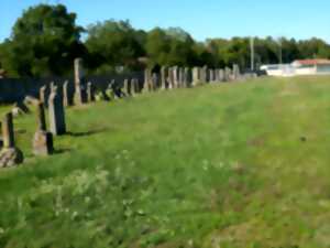 Visite commentée du cimetière juif