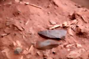 photo Atelier quand l'Homme de Néandertal chassait des mammouths