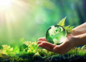 Festival Horizons Durables