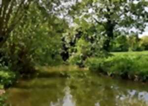 photo Les Rendez-Vous Nature - Qu'est il SENSÉE vivre ici?