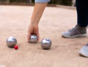 photo Concours de pétanque