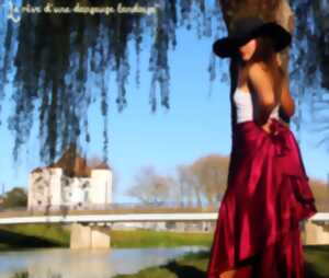 photo Spectacle de danses