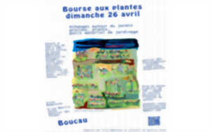 photo Bourse aux plantes