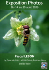 Exposition Photo Pascal Lebon