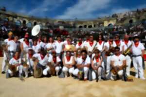 photo Cinquantième anniversaire de la banda Lous Pegaillouns