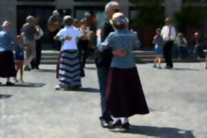 Domaines du Moulin Authier : Initiation Danse