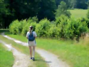 photo Randonnée solidaire