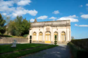 photo Bamboches Botaniques