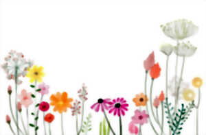 photo Atelier croquis et dessins