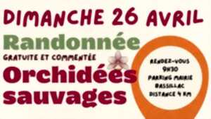 photo Randonnée Orchidées Sauvages