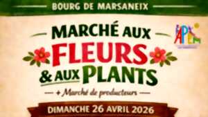 photo Marché aux fleurs et aux plants