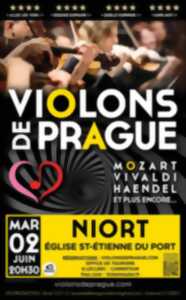 photo Concert Violons de Prague à Niort