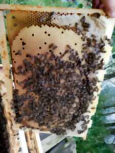 photo Patrimoine et savoir-faire : Crotelles et les ruchers du Madelon