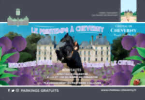 photo Spectacle équestre « Rencontre entre l’homme et le cheval »