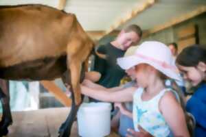 photo Atelier enfant - Aujourd'hui, c'est toi le fermier !