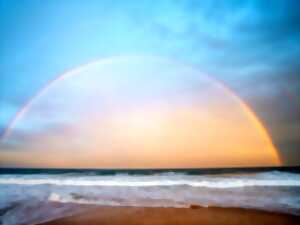 photo Pique-nique sur la digue & concert