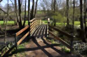 Les espaces du jardin